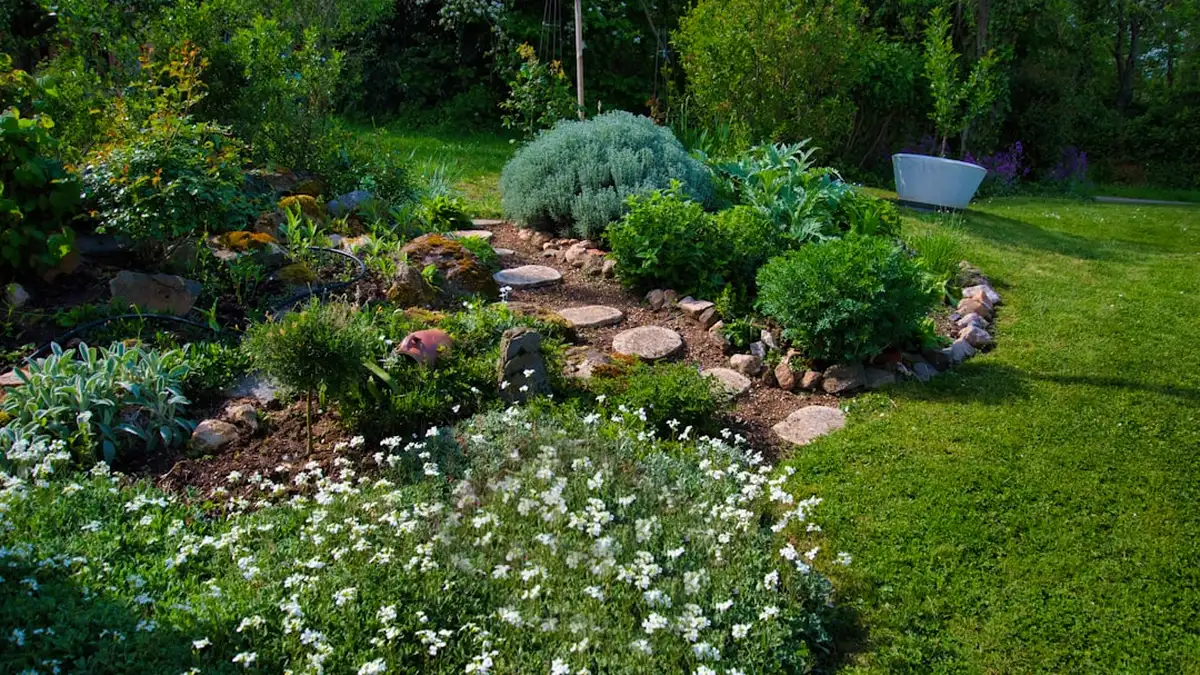 Économiser l'eau au jardin en arrosant moins souvent