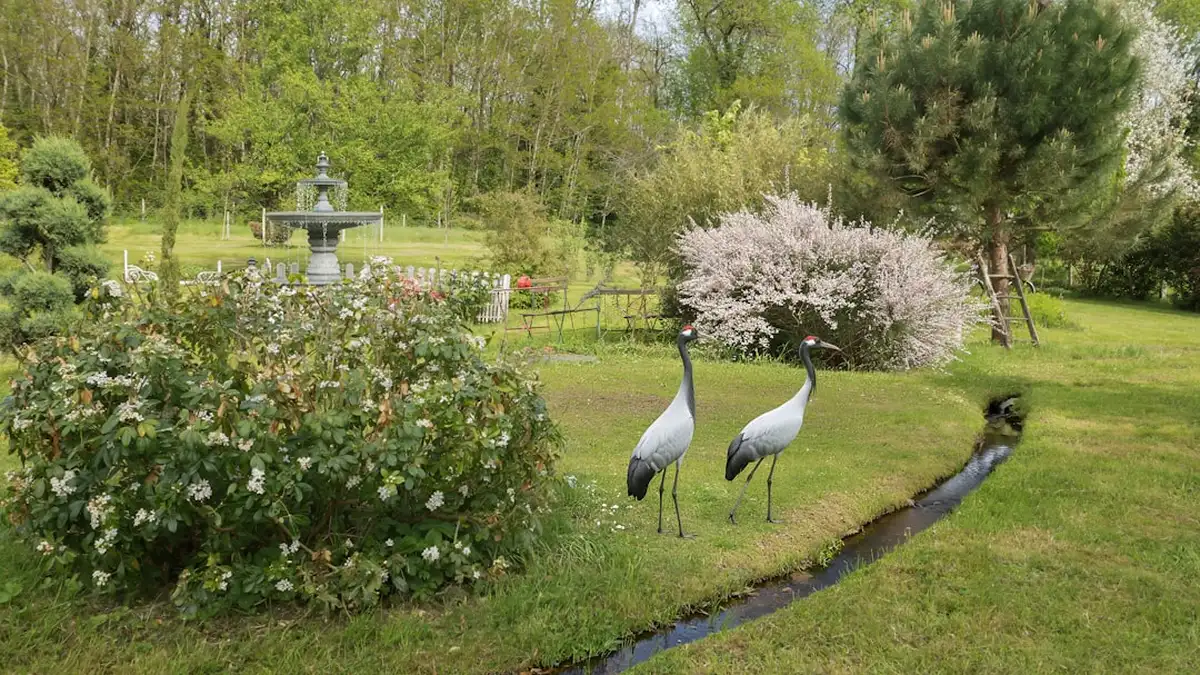 Attirer les oiseaux au jardin