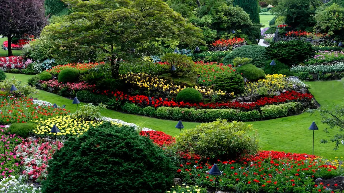 Jardinage sans arrosage quotidien : paillage et bonnes plantes