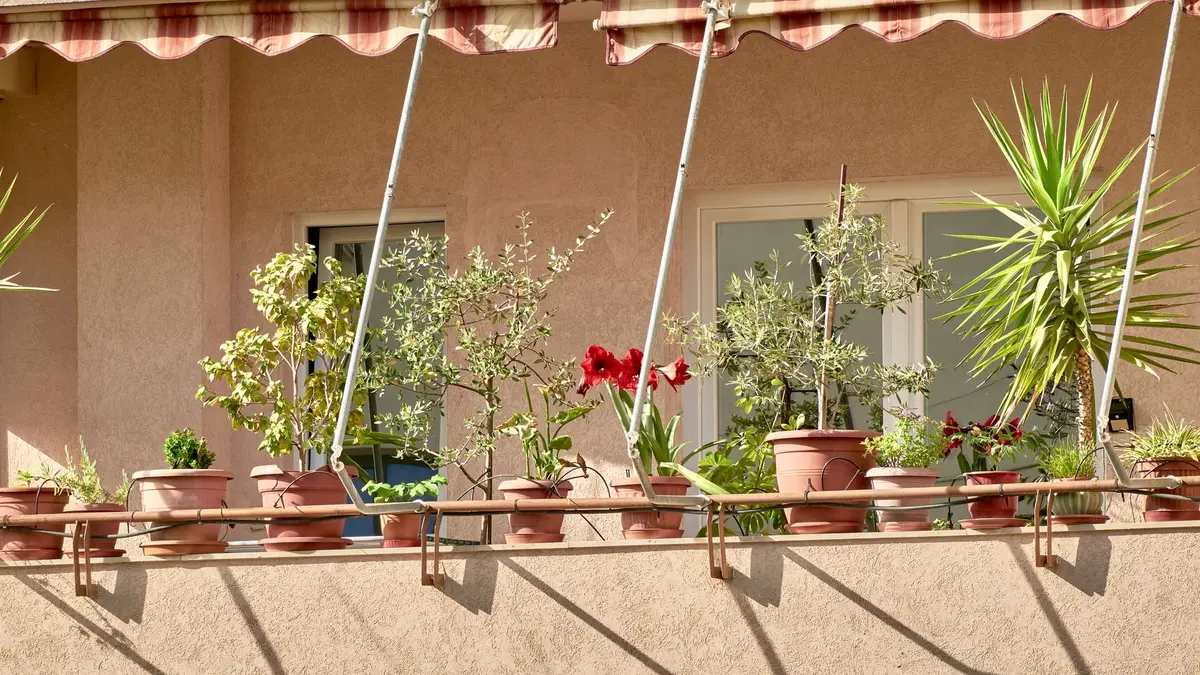 Fleurir un balcon plein soleil